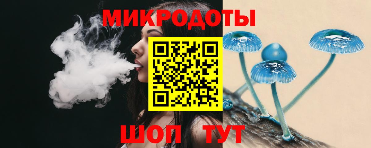 Псилоцибиновые грибы Psilocybe Североуральск